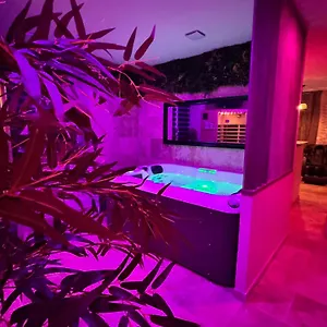 Le Boudoir Suite&spa Love hôtel Malissard